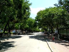 -山东大学(威海校区)