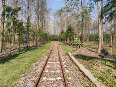 -合肥滨湖国家森林公园