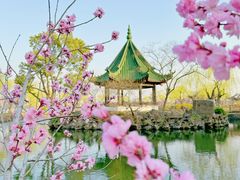 -无锡蠡湖国家湿地公园-蠡园