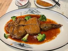 -丁老爷子苏香圆