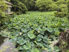 -鹤冈八幡宫