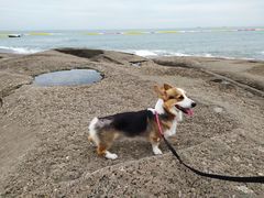 -日照灯塔风景区