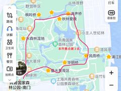 -上海共青森林公园