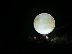 -雁荡山风景名胜区-小龙湫