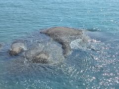 -黄金海岸