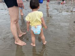 -奉贤海滩