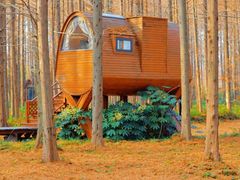 -黄海国家森林公园