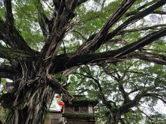 -云水谣景区