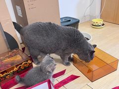 -佳雯宠物医院·皮肤科·内外科(春晓路分院)