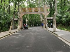 -灵谷景区