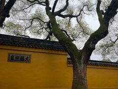 -西园戒幢律寺