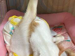 -立德动物医院·24小时中心(番禺区院区)