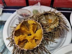 朝鲜大黄胆-HIHE Bistro·Oyster Bar(华熙live店)