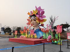 -荷兰花海