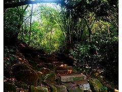 -火炉山森林公园