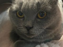 -小伙伴宠物医院•急重症转诊中心·老年专科·犬猫全科(北大街总院)