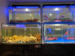 -南海渔村(珠江新城店)