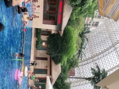 -环球中心海洋乐园