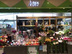 -谷莠子花艺·气球派对·绿植造景·花艺沙龙(金光华广场店)