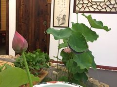 -龙源茶坊(白银路店)