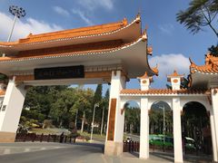 -深圳仙湖植物园-停车场
