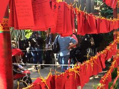 -加州迪士尼乐园