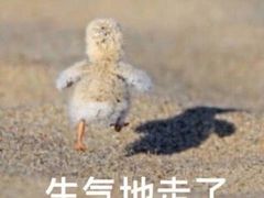 -西树泡芙(蓝色港湾店)