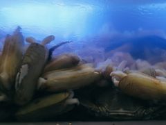 -星伦多自助料理(宝山龙湖天街店)