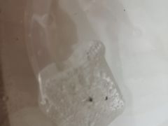 -市巷·土红糖凉糕铺(祥瑞苑店)