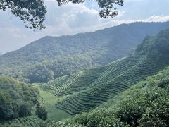 -龙井壹号·茶缘山景宴(龙井村店)