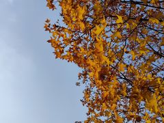 -龙苍沟森林公园