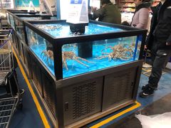 -麦德龙(郑东店)