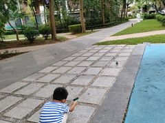 -金点蒙氏国际教育(悠然校区)