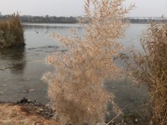 -绿堤公园