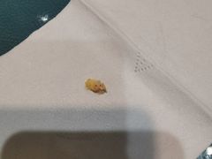 -紫光园·烤鸭(吕家营店)