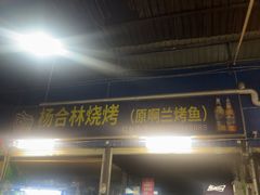 -杨合林啊兰烤鱼