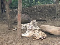 -常州淹城野生动物世界