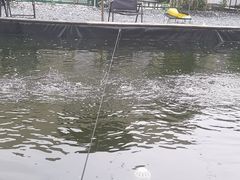 -DGE季风钓虾营地·团建·聚会