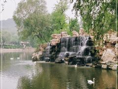 -石家庄市动物园