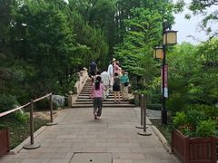 -上海醉白池公园