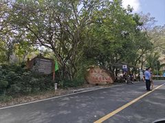 -海南热带雨林国家公园吊罗山景区