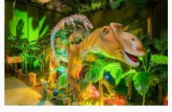 -恐龙探索乐园(磁器口店)