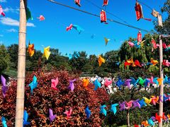 -北京西山国家森林公园