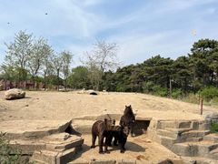 -沈阳森林动物园