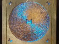 -上海昆虫博物馆