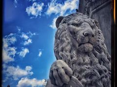 -圣母百花大教堂穹顶