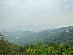 -广州市白云山风景名胜区