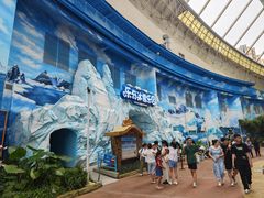 -海合安成都极地海洋公园