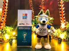 -中央广播电视总台(光华路办公区)