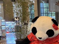 -成都保利公园皇冠假日酒店(熊猫基地店)